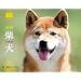 2010�Č�(Yama-Kei Calendar)