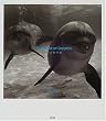 The Planet of Dolphin�\�C���J�̉F��