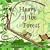 Heart of the Forest