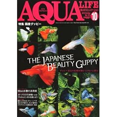 ���� AQUA LIFE (�A�N�A���C�t) 2010�N 10���� [�G��]