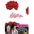 ��C�^�C�t�[�� DVD-BOX