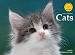 2011Cats �˂� (Yama-Kei Calendar 2011)