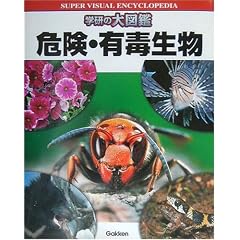 �w���̑�}�� �댯�E�L�Ő���