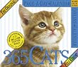 365 Cats 2007 Calendar (Large Page-A-Day)