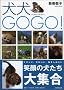 ����GOGO!