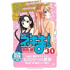 DVD�t���������� ���@�搶�l�M��! ��30��