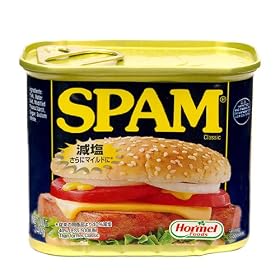 �z�[���� �X�p�� ���M�����[N 340g