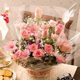 �o���@�s���N�@�A�����W�@���߂܂ł̂������͗����z�B�y�z�B���w��s�z ���a�����E�L�O���ɗ����z�B�@���ԉ�����