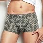 �O���[ BODY WILD STYLISH �y�v�����g�X�g���b�`�z ���[���C�Y�{�N�T�[�O�� BWT591V