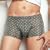 �O���[ BODY WILD STYLISH �y�v�����g�X�g���b�`�z ���[���C�Y�{�N�T�[�O�� BWT591V