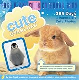 [Book]Meg Frost Cute Overload 2009 Calendar (Color Page-A-Day(r) Calendars)