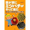 �䂪�ƂɃ~�c�o�`������ė����\�[������n�߂�j�z���~�c�o�`�{�I�Ƃւ̓�