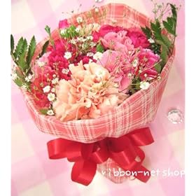 �y���������z�`�F�b�N�̃��b�s���O �J�[�l�[�V�����ƋG�߂̂��Ԃ̃u�[�P�E�ԑ��i���ԁj �i�s���N�n�j FL-MD-807