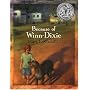 Because of Winn-Dixie