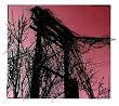 Accidents With Nature & Each Other
