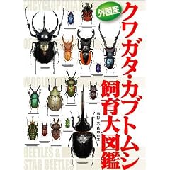 �O���Y�N���K�^�E�K�u�g���V�����}��