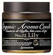 �A�O���i�`�����A���g�X�����E�A���}�L�����h�� AGR021-lily 6910286     100ml