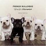 [Book]Sharon Montrose French Bulldogs: Lightweights Littermates (Lightweights Littermates)