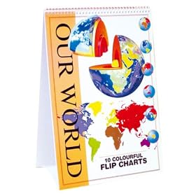 Flip Charts: Our World