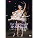 �L�[���t�E�o���G�u���C�����_�v(�S3��)�R���p�R��&�x���W�m�C [DVD]