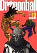 DRAGON BALL ���S�� 13 (�W�����v�E�R�~�b�N�X)