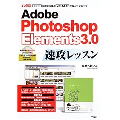 Photoshop Elements 3.0���U���b�X���\�摜�����̊�b�m���ƃf�W�J���ʐ^�̉��H�e�N�j�b�N (I/O�ʍ�)