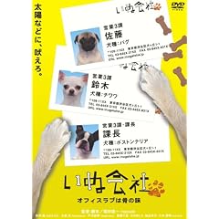 ���ʉ�� �I�t�B�X���u�͍��̖� �� [DVD]