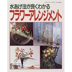 �������@���ǂ��킩��t�����[�A�����W�����g (���f�B�u�e�B�b�N�V���[�Y (1063))