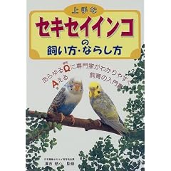 ���ȃZ�L�Z�C�C���R�̎������E�Ȃ炵��