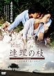 �u�A���̎}�v�K�C�hDVD~���ꂪ�Ō�̗��ɂȂ�~
