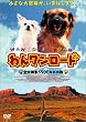 ��񃏃����[�h �S�ĉ��f5500�L���̗� [DVD]