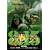 �����E�ܓ��̃��X�g�_���X [DVD]