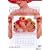 �J�����_�[�E�K�[���Y ���ʔ� [DVD]