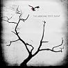 The Airborne Toxic Eventのアルバムの画像