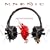 The Audio Injected Soul