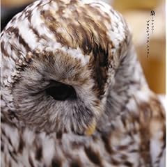 ��(��������B)(DVD�t)