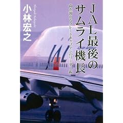 JAL�Ō�̃T�����C�@��