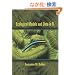 Ecological Models and Data in R