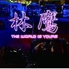 THE WORLD IS YOURS
