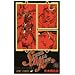 STEEL BALL RUN vol.15�\�W���W���̊�Ȗ`��Part7 (15)