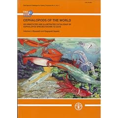 Cephalopodos of the World: An Annotated and Illustrated Catalogue of Cephalopod Species Known to Date: Myopsid and Oegopsid Squids (Fao Species Catalogue for Fisheries Purposes)