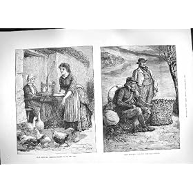 �Ƌׂ̎x�����ݗ���ɐB������ 1888 �̃A�C�������h�̎�C��