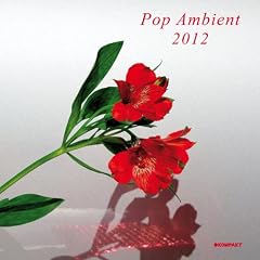 Pop Ambient 2012 [Analog]