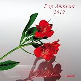 Pop Ambient 2012 [Analog]