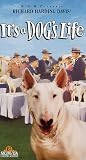  It's a Dog's Life [VHS] [Import]