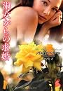 淑女からの求婚 (ラズベリーブックス)
