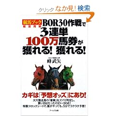 �u���n�u�b�N�v�����p�p BOR30����3�A�P100���n�����l���!�l���!
