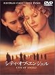 �V�e�B�E�I�u�E�G���W�F�� ���ʔ� [DVD]