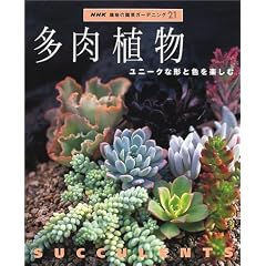 �����A���\���j�[�N�Ȍ`�ƐF���y���� (NHK��̉��|�K�[�f�j���O21)
