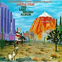 The Last Record Album